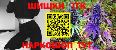стафф Донецк